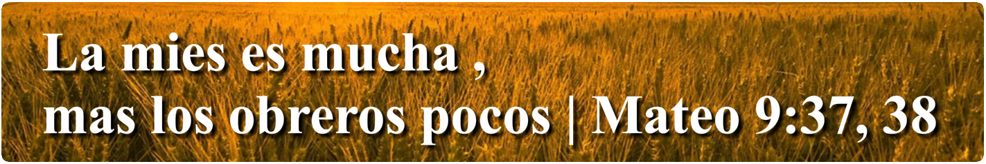 Imagen en reemplazo de flash